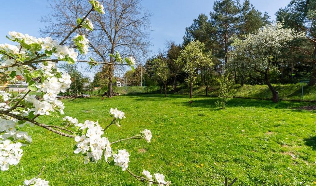 Prodej stavebního pozemku 534 m², Lípa – náhled fotky 9