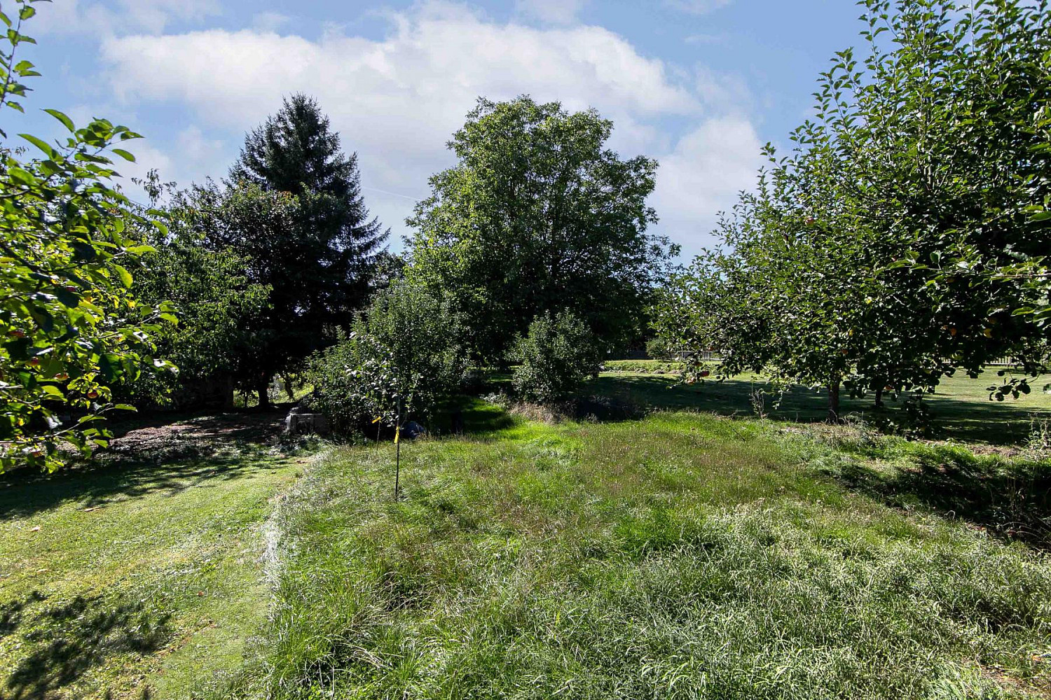 Prodej domu 208 m² s pozemkem 771 m² – fotografie 5