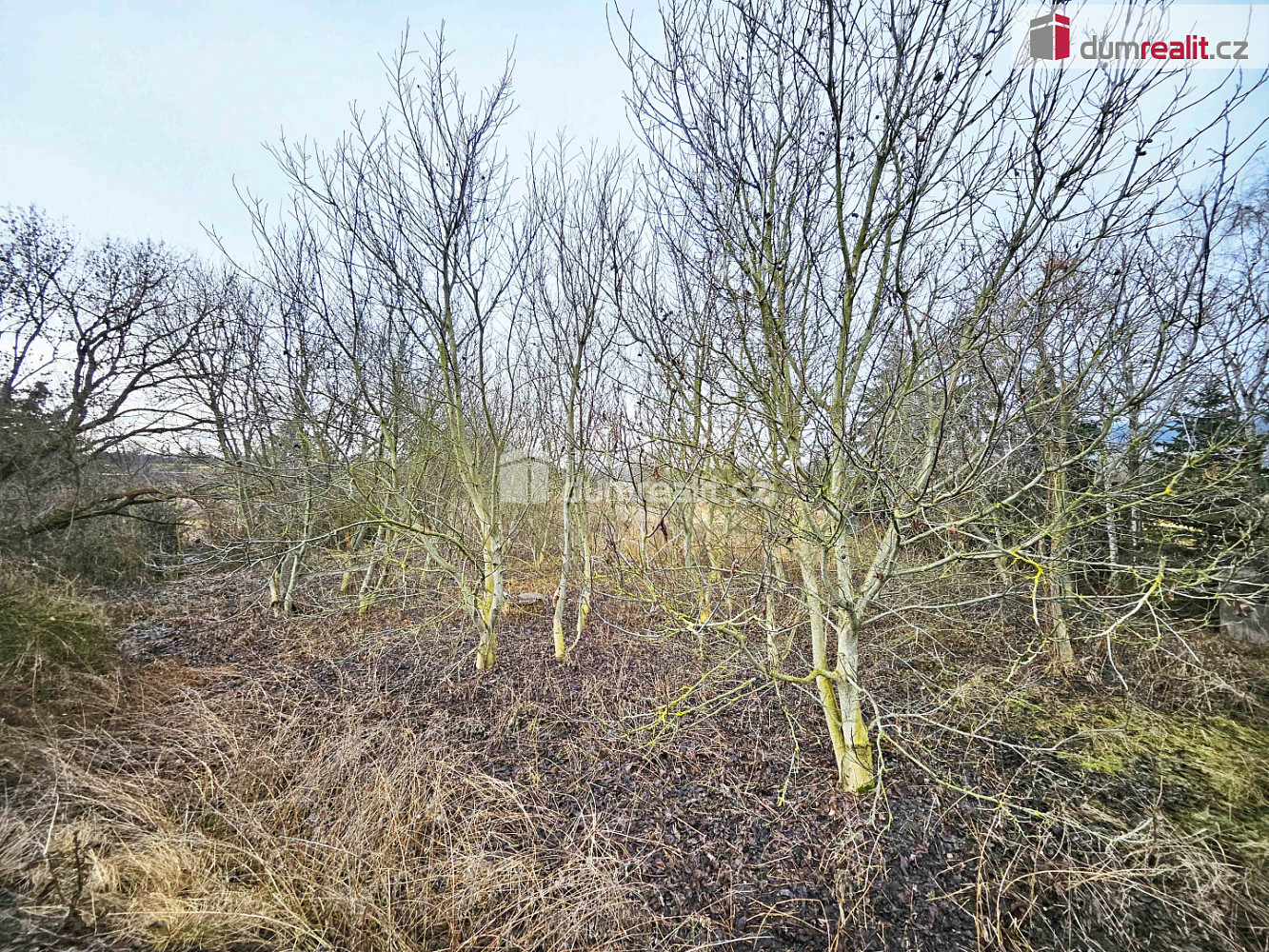 Prodej pole 1 549 m² — photo 3