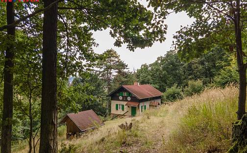 Prodej domu 166 m² s pozemkem 10 077 m², Dolní Zálezly, okres Ústí nad Labem