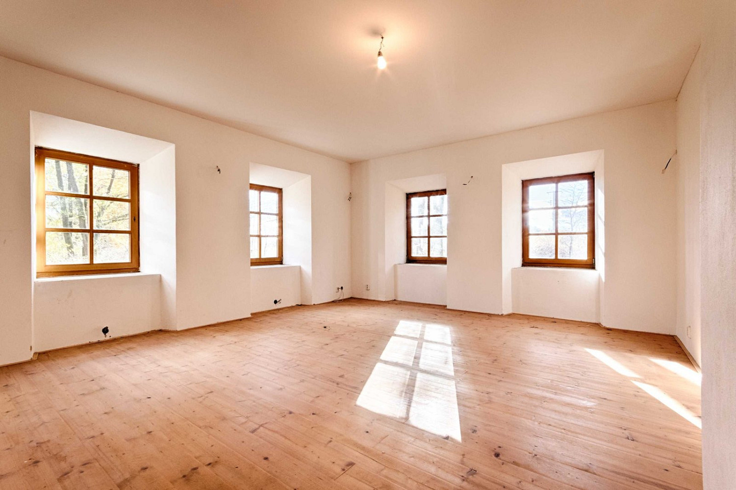 Prodej domu 520 m² s pozemkem 2 024 m² – fotografie 5