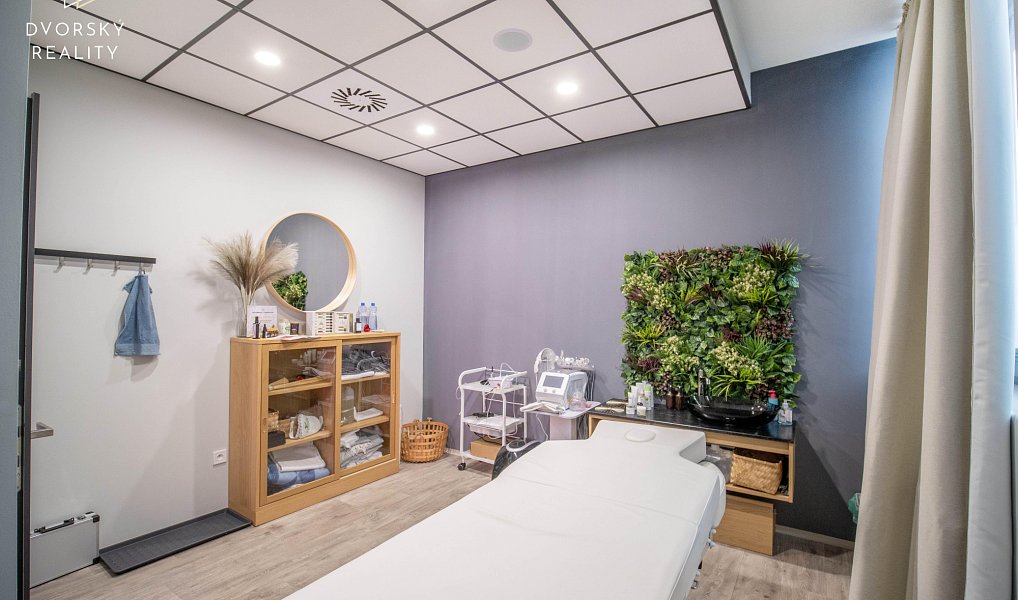 Prodej obchodních prostor 4 857 m², Mladá Boleslav – náhled fotky 13