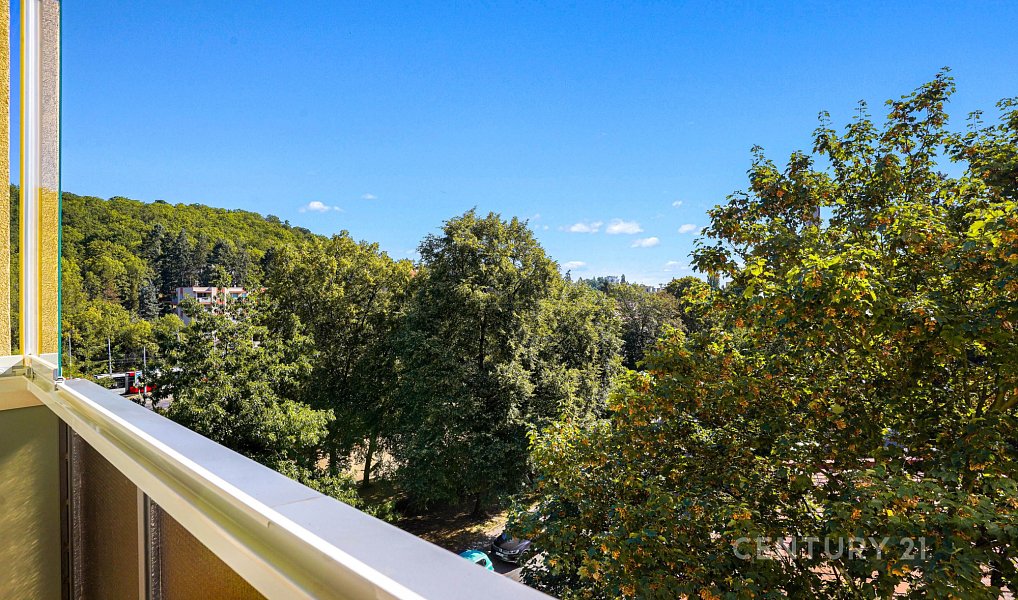 Prodej bytu 3+kk 71 m², Praha – náhled fotky 2