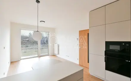 Pronájem bytu 3+kk 73 m², 102. pluku, Benešov