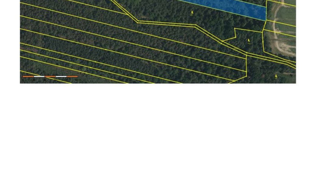 Prodej lesa 32 388 m², Třeboň – náhled fotky 4