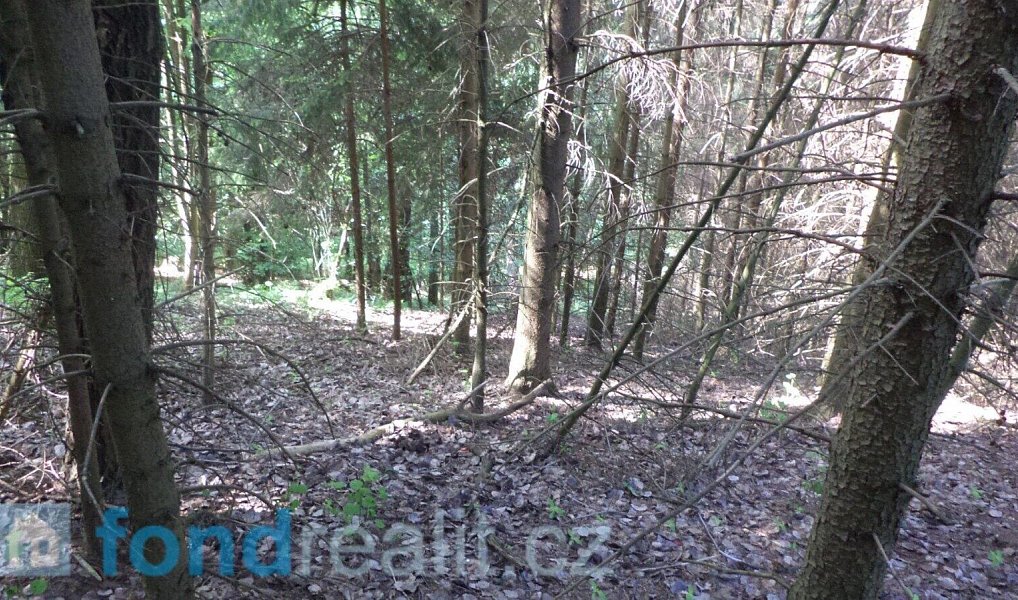 Prodej pozemku 4 634 m², Dolní Dobrouč – náhled fotky 6