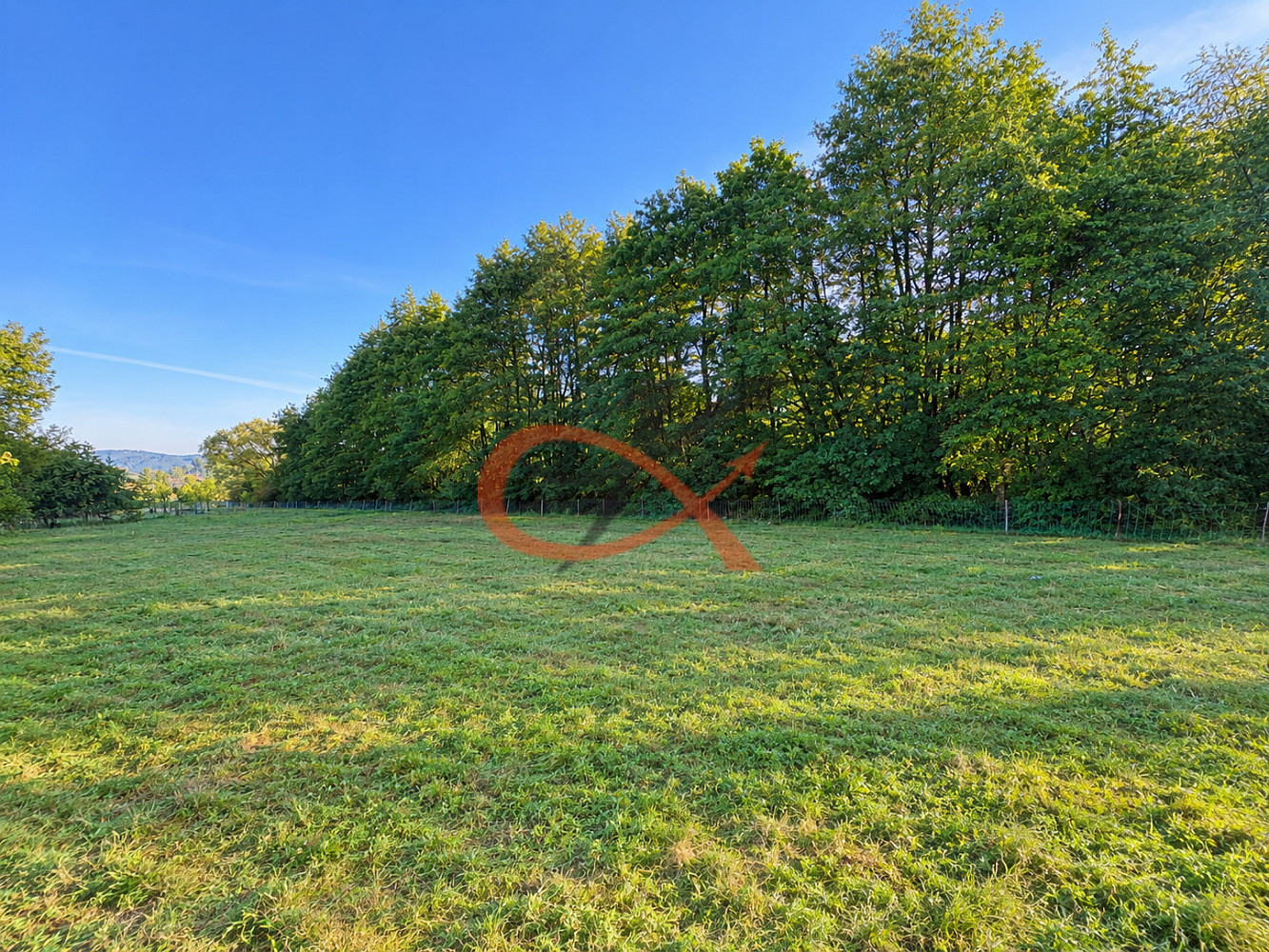 Prodej zahrady 4 190 m² – fotografie 3