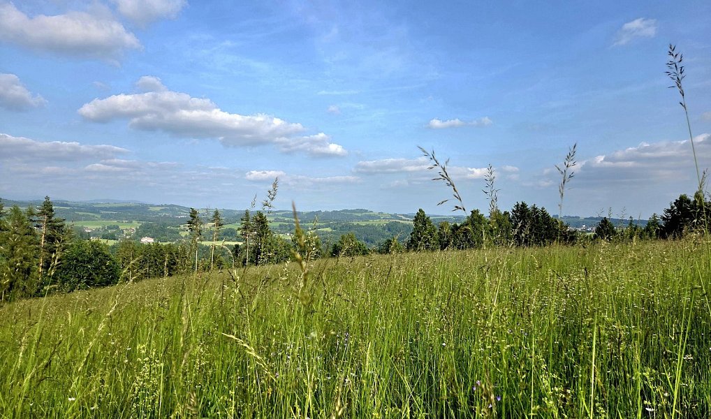 Prodej louky 10 451 m², Vlastiboř – náhled fotky 5