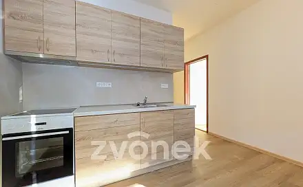 Pronájem bytu 2+1 43 m², Dolní Jasenka, Vsetín