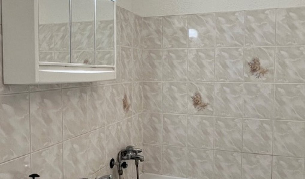 Pronájem bytu 2+1 78 m², Hradec Králové – náhled fotky 8