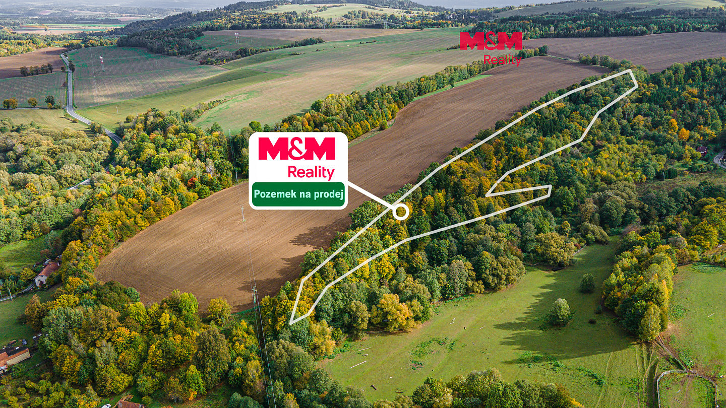 Prodej lesa 29 949 m²