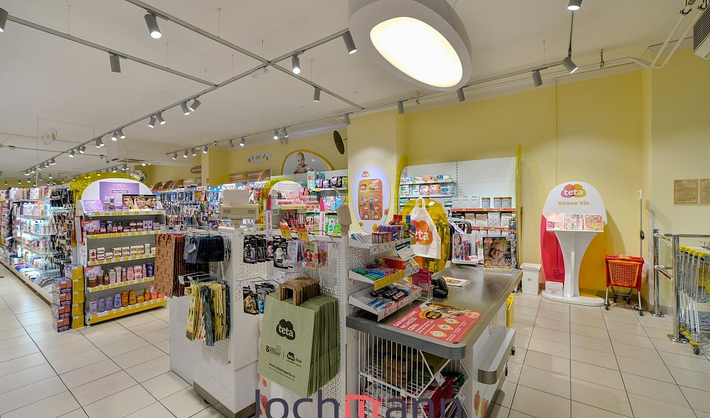 Pronájem obchodních prostor 340 m², České Budějovice – náhled fotky 15