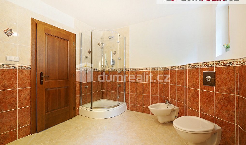 Prodej domu 286 m² s pozemkem 3 176 m², Želízy – náhled fotky 19