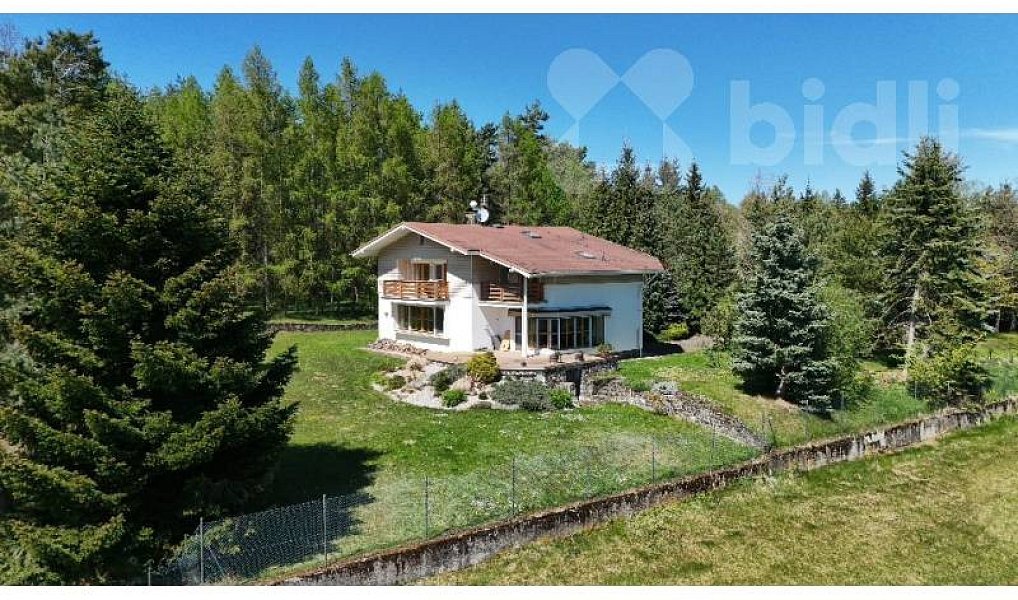 Prodej domu 250 m² s pozemkem 11 733 m², Kolinec – náhled fotky 39