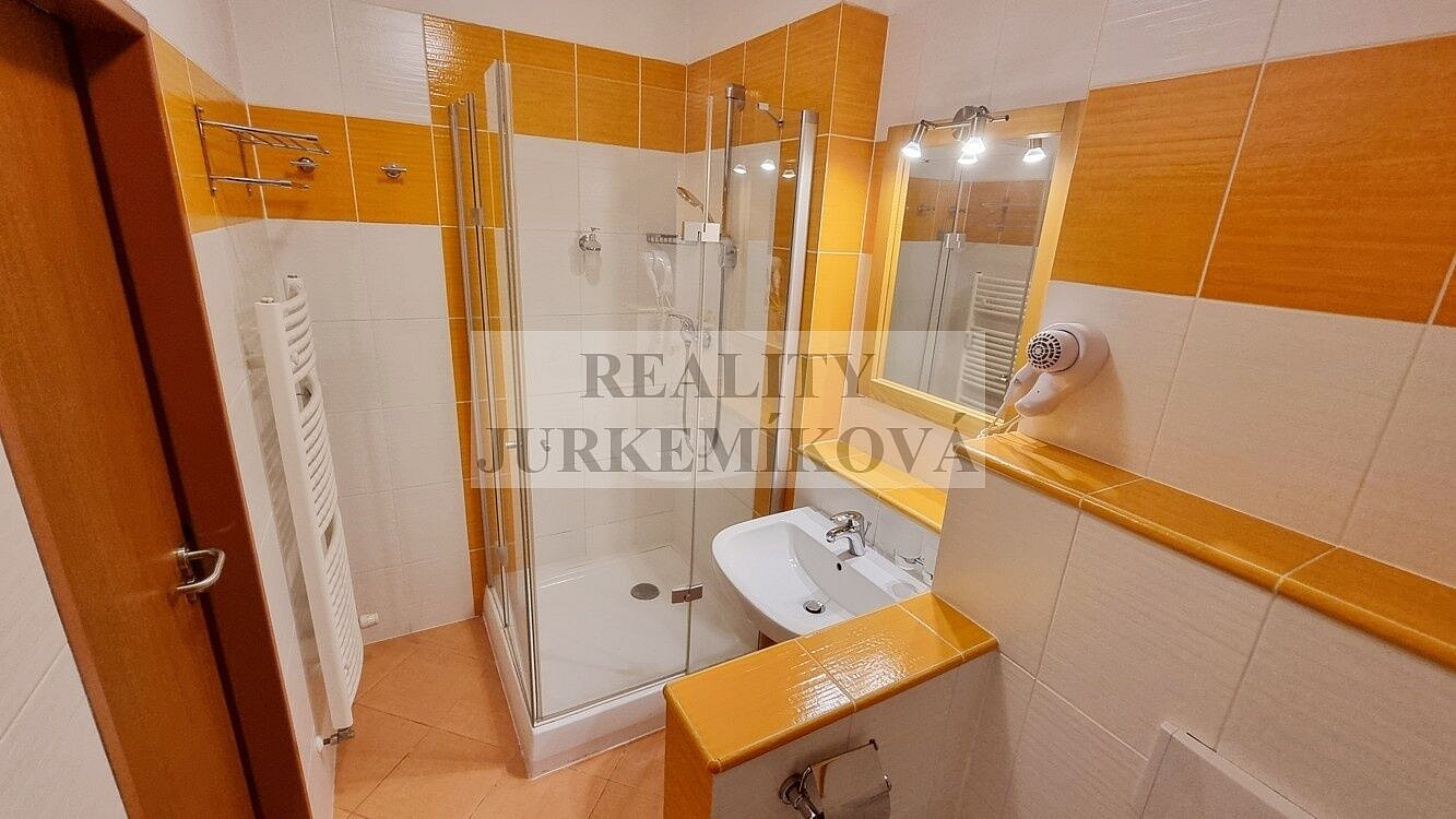 Prodej bytu 1+kk 30 m² – fotografie 4