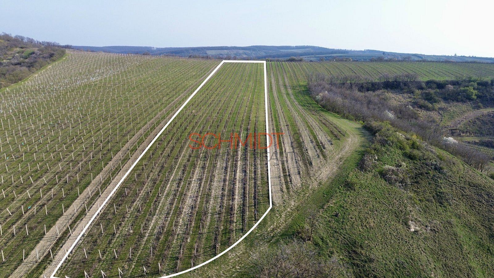 Prodej pozemku 11 748 m² – fotografie 2