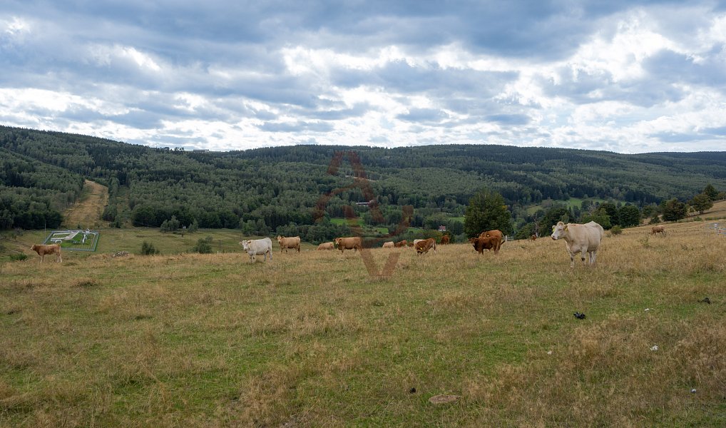 Prodej chalupy 145 m², Hora Svaté Kateřiny – náhled fotky 24