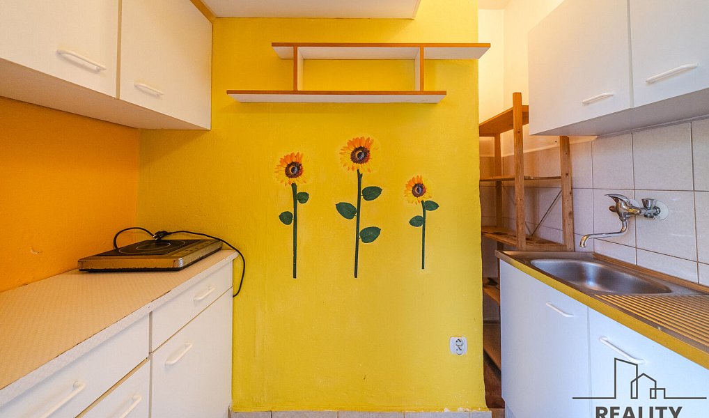 Prodej bytu 1+kk 28 m², Ostrava – náhled fotky 3