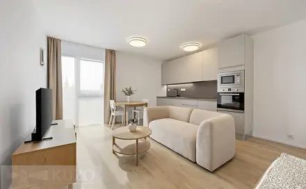 Pronájem bytu 1+kk 38 m²