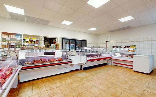 Prodej výrobních prostor 308 m², Družstevní, Týnec nad Sázavou, okres Benešov