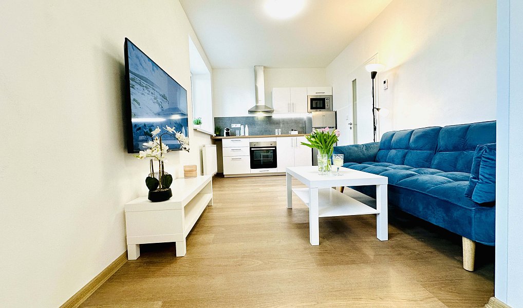 Pronájem bytu 1+kk 50 m², Jihlava – náhled fotky 2