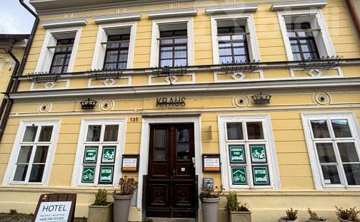 Prodej domu 390 m² s pozemkem 975 m², Palackého, Mělník