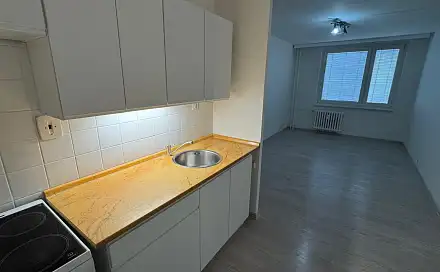 Pronájem bytu 2+kk 40 m², Albrechtická, Most