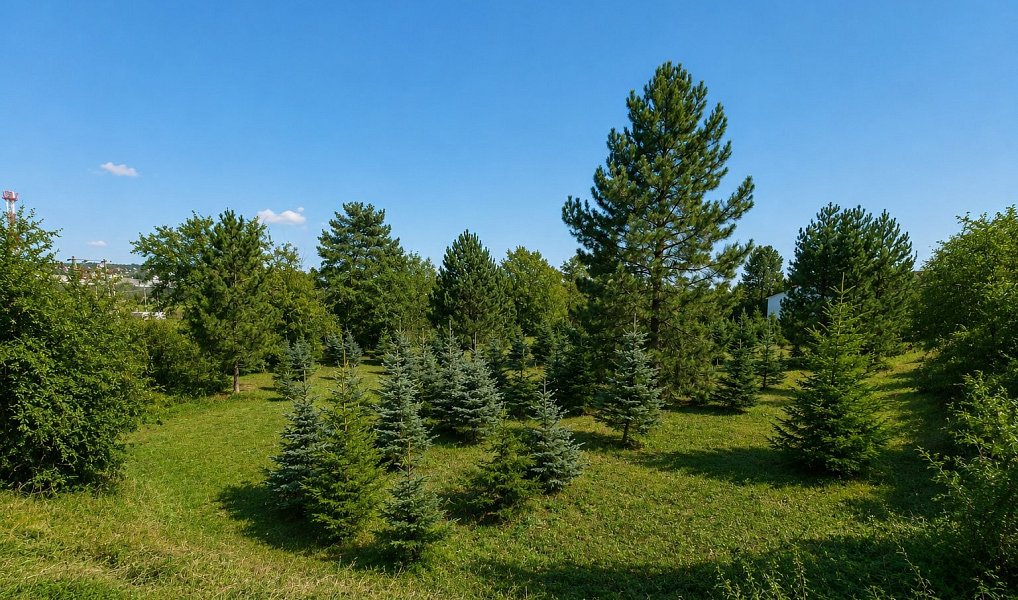 Prodej stavebního pozemku 971 m², Popůvky – náhled fotky 7