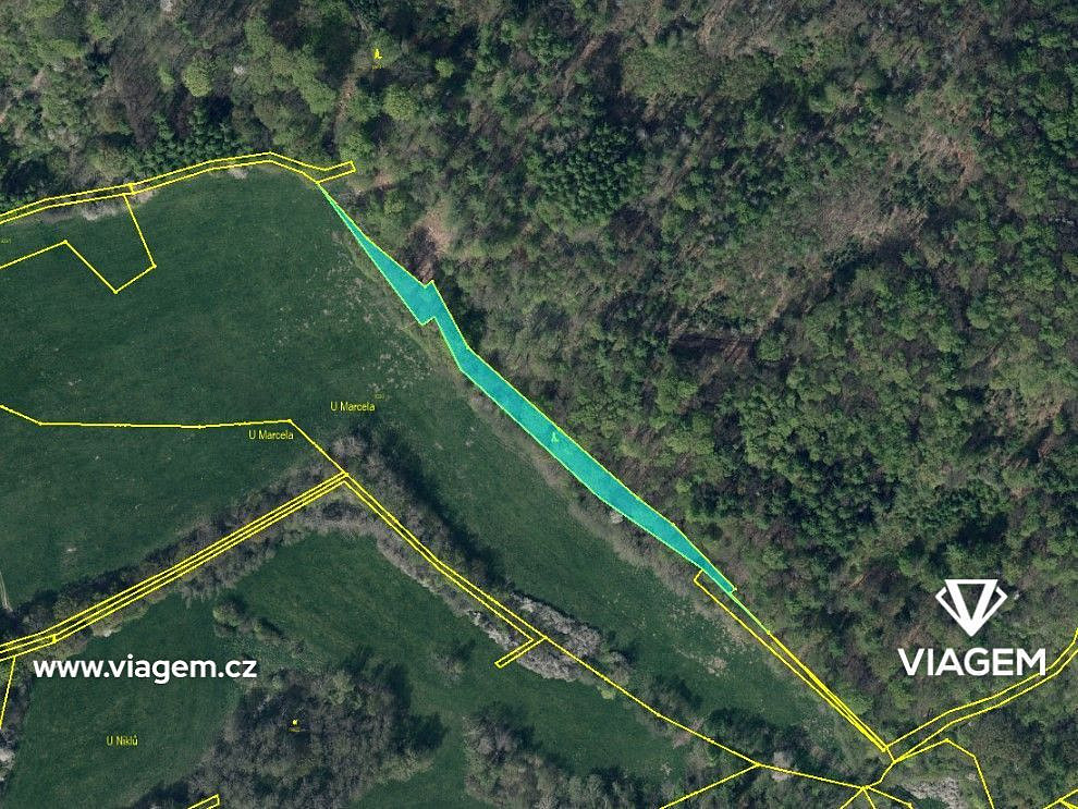 Prodej lesa 1 343 m² – pohled 3