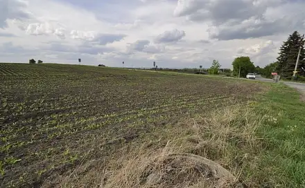 Dražba stavebního pozemku 27 743 m², Těšany, okres Brno-venkov