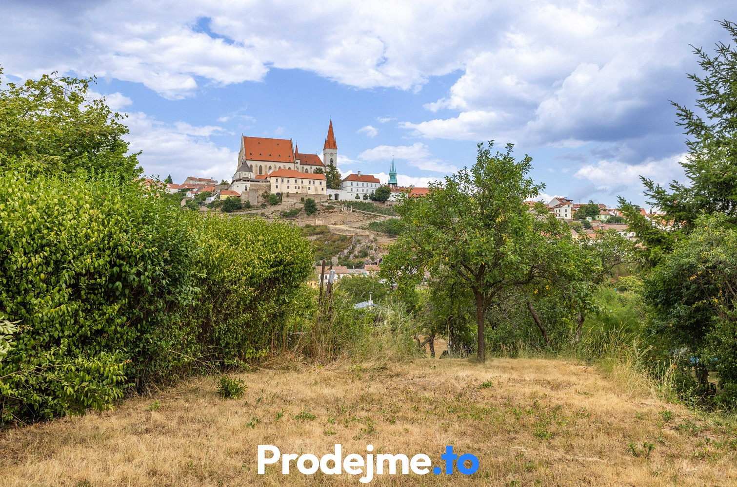 Prodej zahrady 1 586 m² — photo 4