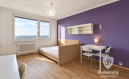 Pronájem bytu 1+1 30 m²