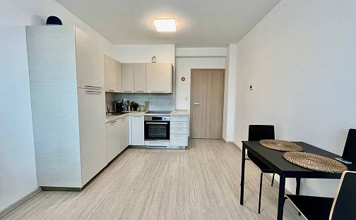 Pronájem bytu 2+kk 50 m², Merhautova, Brno - Černá Pole