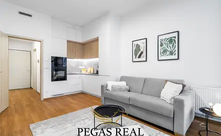 Prodej bytu 1+kk 33 m², Opuštěná, Brno - Trnitá