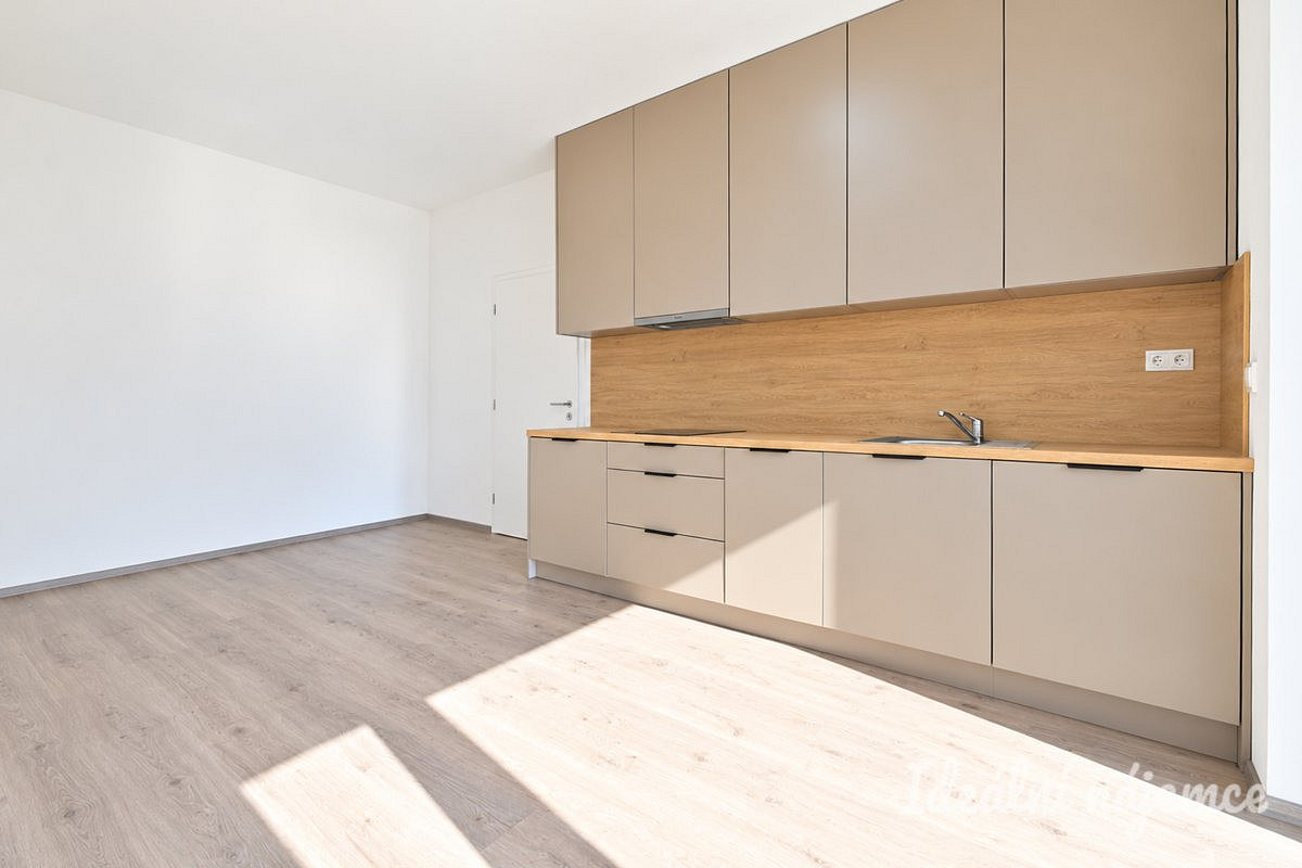 Pronájem bytu 1+kk 40 m² – fotografie 3