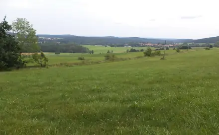 Prodej pozemku 5 614 m², Holubov, okres Český Krumlov