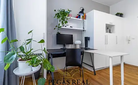 Pronájem kanceláře 27 m², Vlhká, Brno - Trnitá