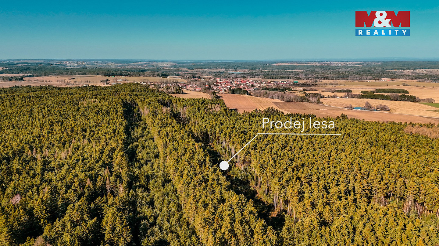 Prodej lesa 18 382 m² — photo 2