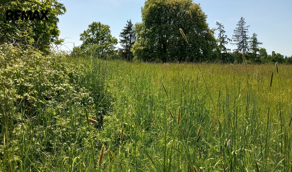 Prodej stavebního pozemku 4 273 m², Anenská Studánka – náhled fotky 3
