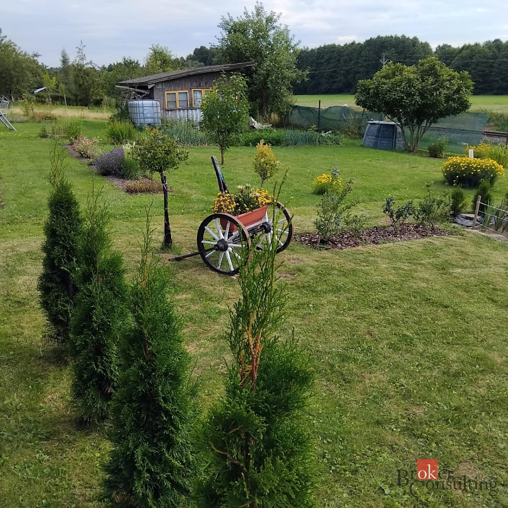 Prodej zahrady 350 m² — photo 2