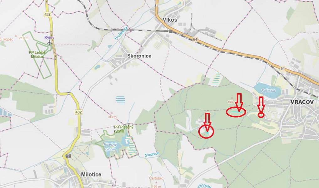 Prodej lesa 3 963 m², Vacenovice – náhled fotky 10
