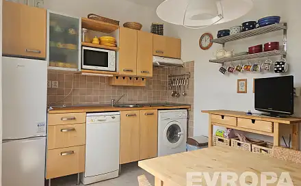 Pronájem bytu 1+1 47 m²