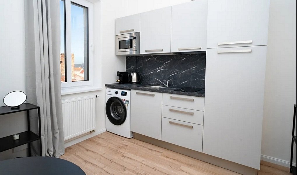 Pronájem bytu 1+1 35 m², Plzeň – náhled fotky 7