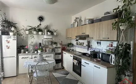 Pronájem bytu 1+kk 55 m², Napajedla, okres Zlín