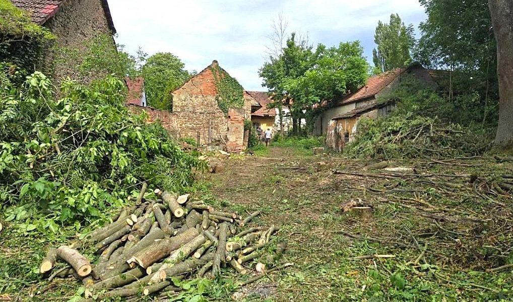 Prodej domu 100 m² s pozemkem 2 338 m², Svinaře – náhled fotky 2