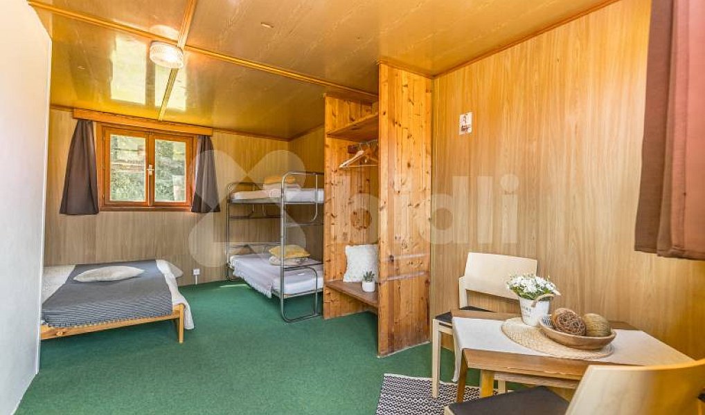 Prodej komerčního objektu (jiného typu) 12 398 m², Kájov – náhled fotky 22