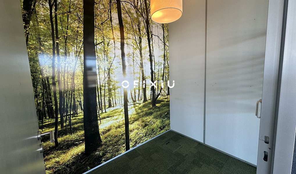 Pronájem kanceláře 97 m², Brno – náhled fotky 4