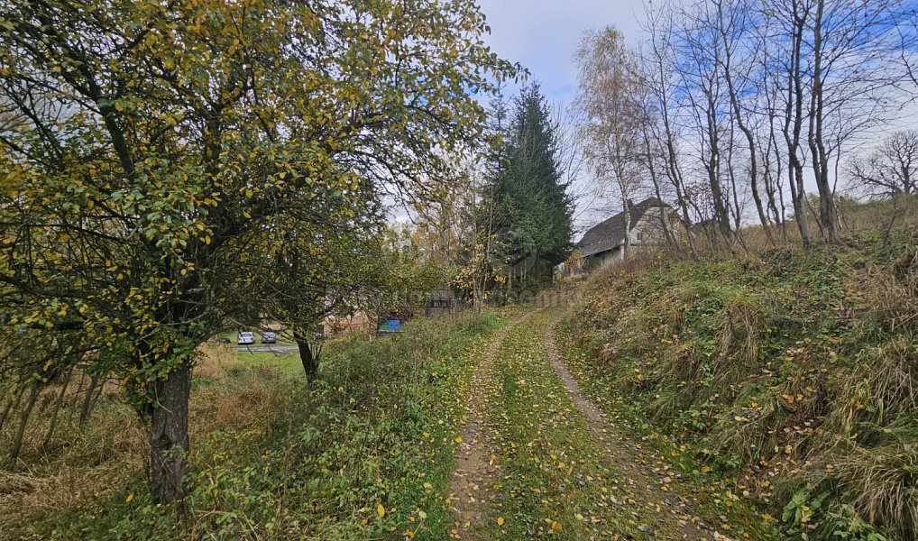 Prodej louky 1 636 m², Hanušovice – náhled fotky 5