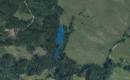 Dražba lesa 7 291 m², Dlouhý Újezd