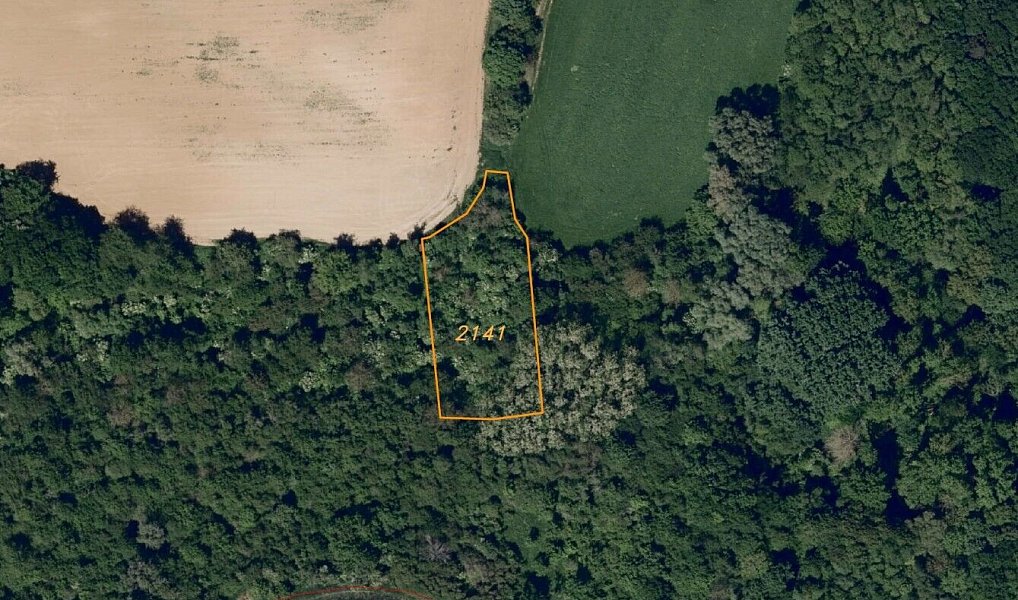 Prodej pozemku 4 878 m², Újezdec – náhled fotky 5